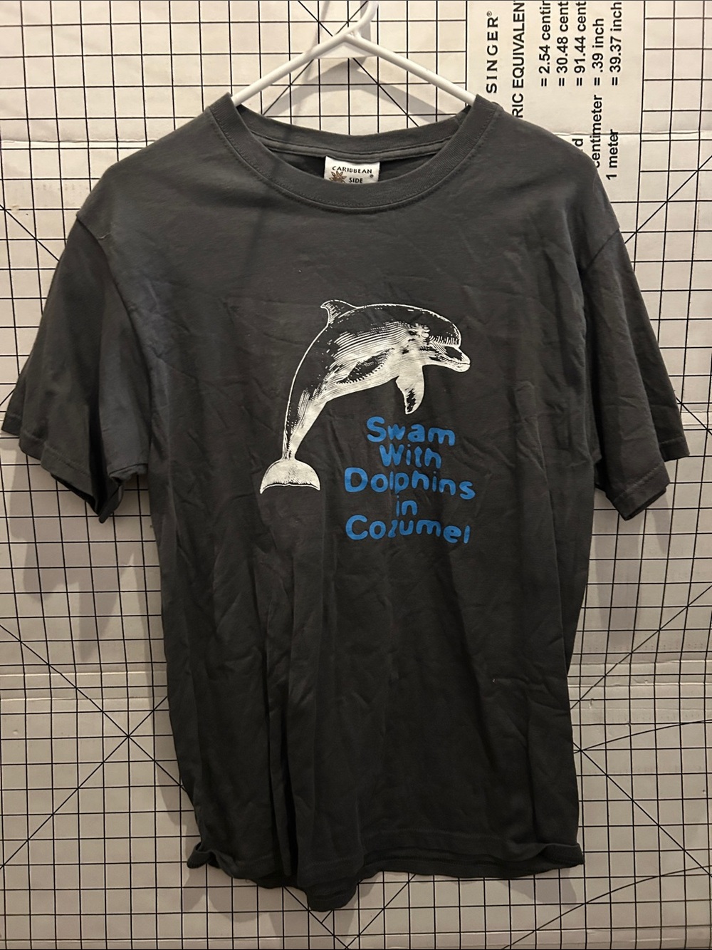 Caribbean Side Men's Charcoal Gray Dolphin Graphic Tee - Swim With Dolphins